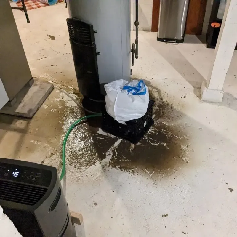 Sewage Backup Cleanup Service in Cyril, OK
